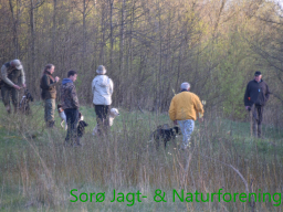 Hundetræning forår 2015